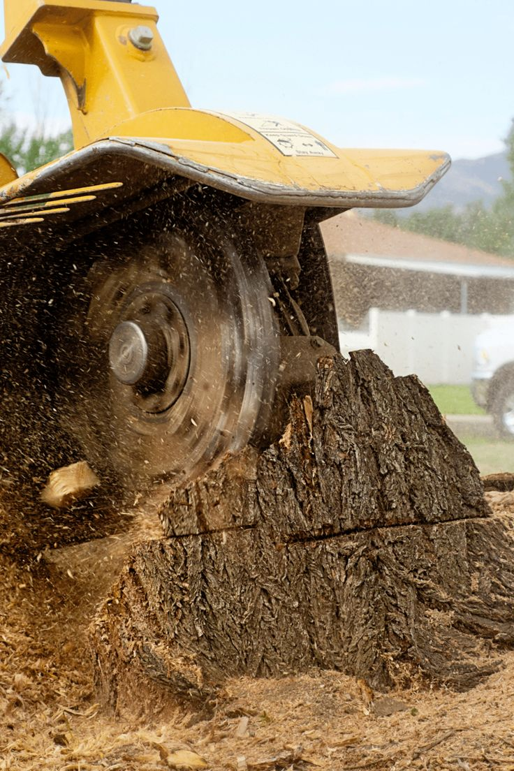 Tree Stump Removal